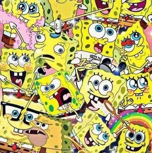 Meet your Posher, Oscar